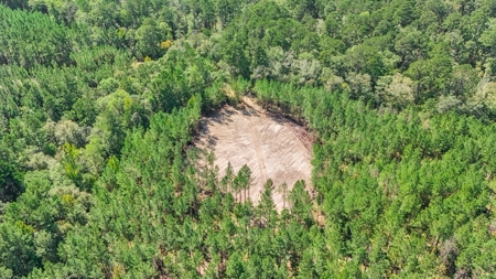 Turnkey Hunting Property Connected to Caston Creek WMA - image 22