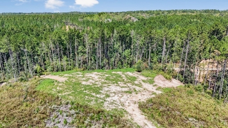Turnkey Hunting Property Connected to Caston Creek WMA - image 18