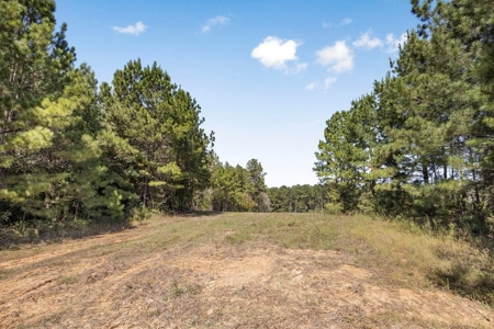 Turnkey Hunting Property Connected to Caston Creek WMA - image 4