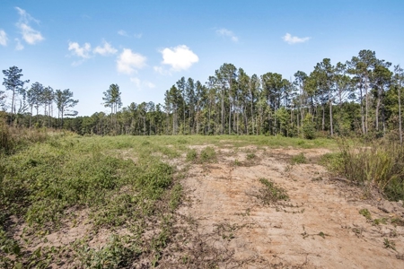Turnkey Hunting Property Connected to Caston Creek WMA - image 3