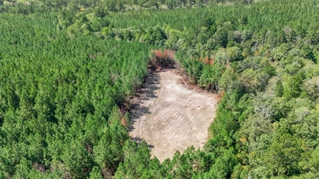 Turnkey Hunting Property Connected to Caston Creek WMA - image 21