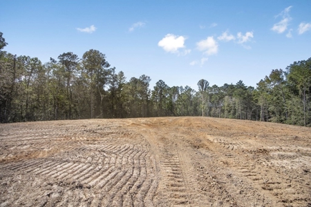 Turnkey Hunting Property Connected to Caston Creek WMA - image 13