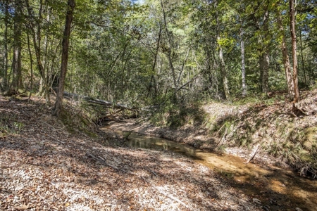 Turnkey Hunting Property Connected to Caston Creek WMA - image 10