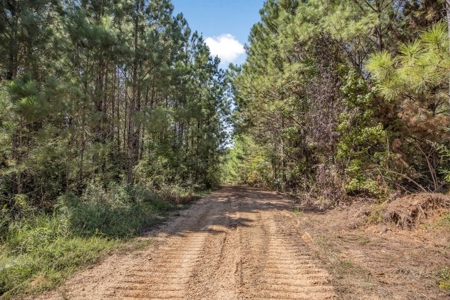 Turnkey Hunting Property Connected to Caston Creek WMA - image 5