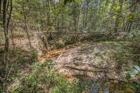 Turnkey Hunting Property Connected to Caston Creek WMA - image 11