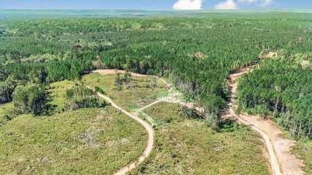 Turnkey Hunting Property Connected to Caston Creek WMA - image 16