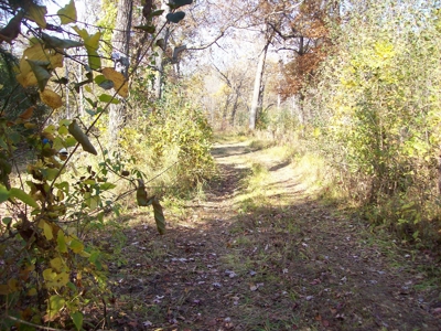 Private 3-Acre Camp Site with Power Portage WI - image 14