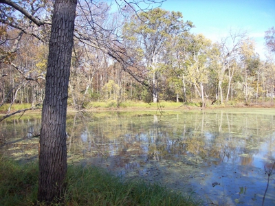 Private 3-Acre Camp Site with Power Portage WI - image 4