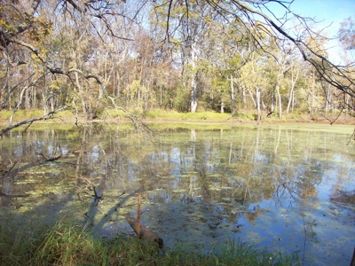 Private 3-Acre Camp Site with Power Portage WI - image 1