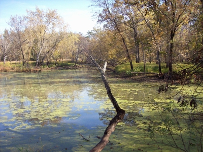 Private 3-Acre Camp Site with Power Portage WI - image 2