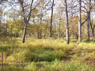 Private 3-Acre Camp Site with Power Portage WI - image 3