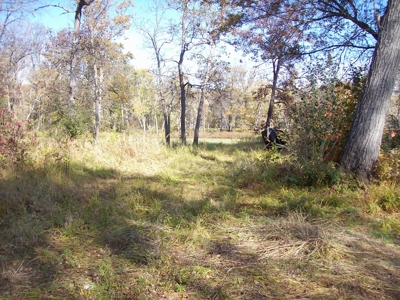 Private 3-Acre Camp Site with Power Portage WI - image 8