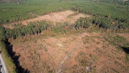 Land For Sale on US HWY 425 near Fountain Hill, AR - image 2