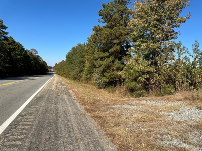 Land For Sale on US HWY 425 near Fountain Hill, AR - image 1