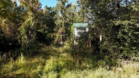Hunting and Timberland Tract for sale in North Louisiana - image 20