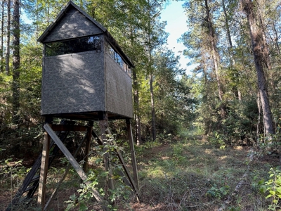 Hunting and Timberland Tract for sale in North Louisiana - image 1