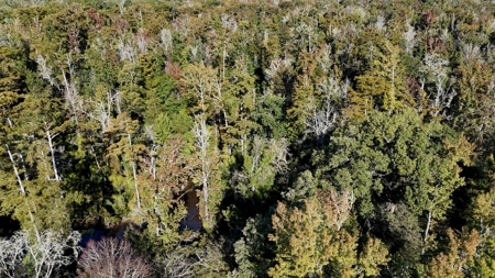 Hunting and Timberland Tract for sale in North Louisiana - image 27