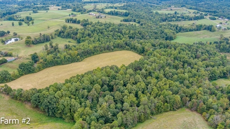 Brick Home and Farmland in Albany, Ky - image 43