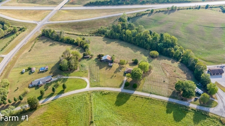 Brick Home and Farmland in Albany, Ky - image 13