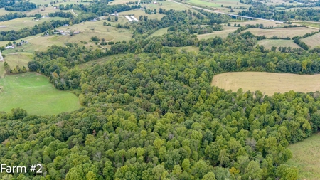 Brick Home and Farmland in Albany, Ky - image 45