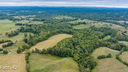 Brick Home and Farmland in Albany, Ky - image 40