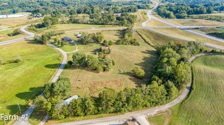 Brick Home and Farmland in Albany, Ky - image 11