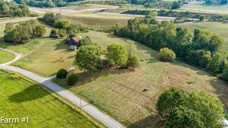 Brick Home and Farmland in Albany, Ky - image 8
