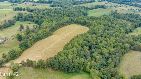 Brick Home and Farmland in Albany, Ky - image 41