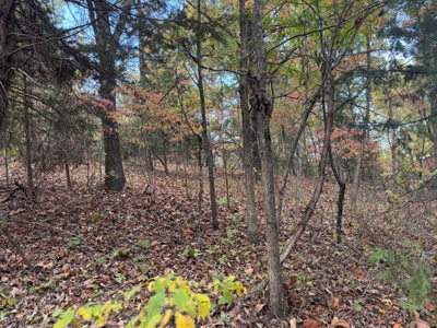 Land For Sale In Arkansas - image 37
