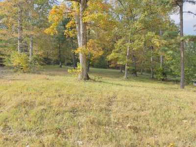 Land For Sale In Arkansas - image 22