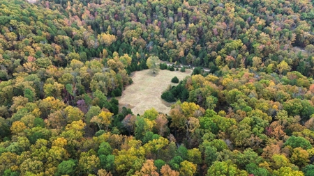 Land For Sale In Arkansas - image 2