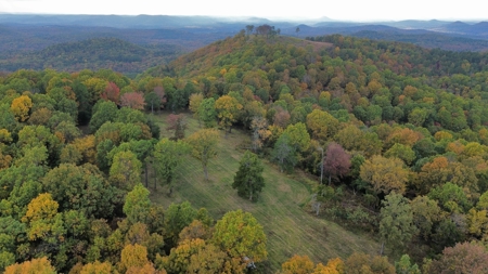 Land For Sale In Arkansas - image 3