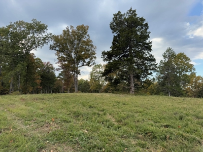 Land For Sale In Arkansas - image 33