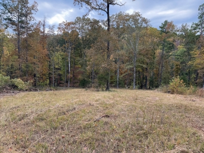 Land For Sale In Arkansas - image 29