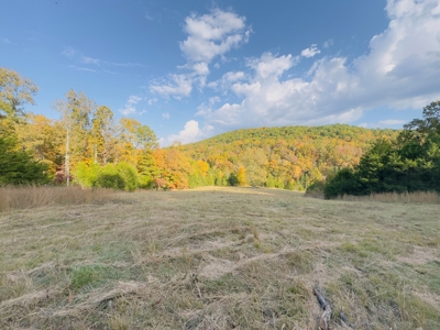 Land For Sale In Arkansas - image 42