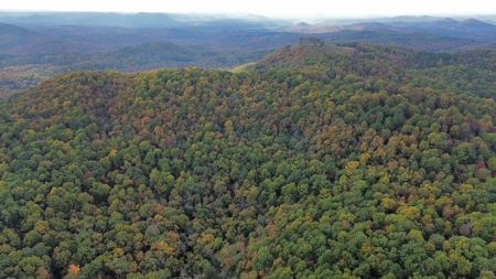 Land For Sale In Arkansas - image 6