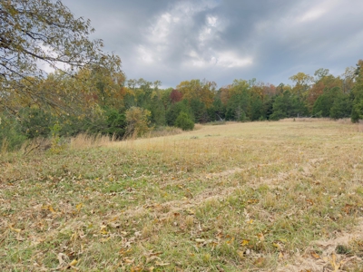 Land For Sale In Arkansas - image 30