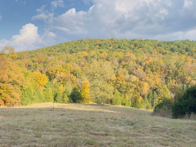 Land For Sale In Arkansas - image 43