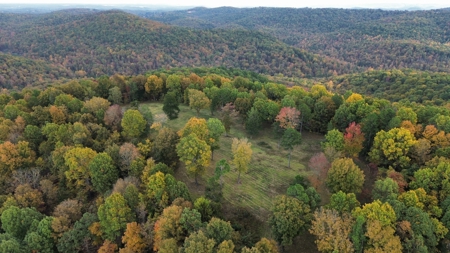 Land For Sale In Arkansas - image 4