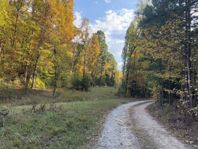 Land For Sale In Arkansas - image 44
