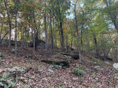 Land For Sale In Arkansas - image 39
