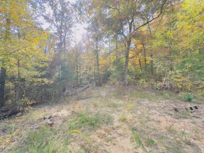 Land For Sale In Arkansas - image 12
