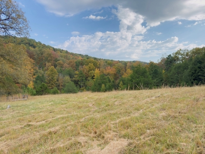 Land For Sale In Arkansas - image 32