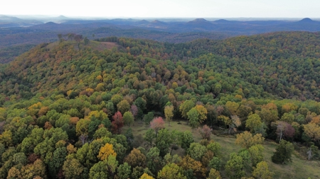 Land For Sale In Arkansas - image 5