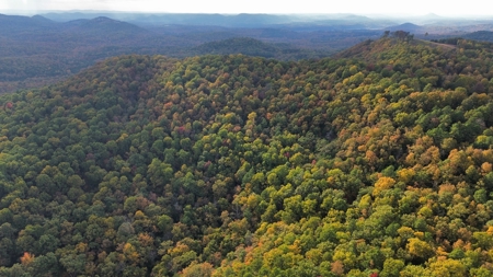 Land For Sale In Arkansas - image 8