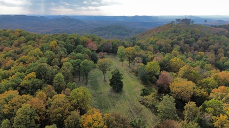 Land For Sale In Arkansas - image 10
