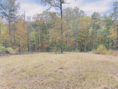 Land For Sale In Arkansas - image 28