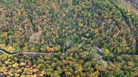 Land For Sale In Arkansas - image 7