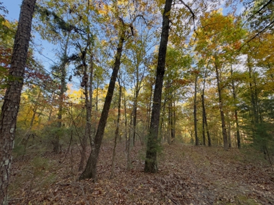 Land For Sale In Arkansas - image 41