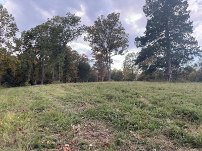 Land For Sale In Arkansas - image 36